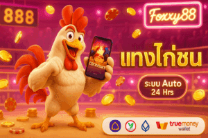 แทงไก่ชน ออนไลน์ foxxy88